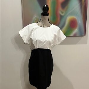 Amanda Uprichard Black and White Mini Dress